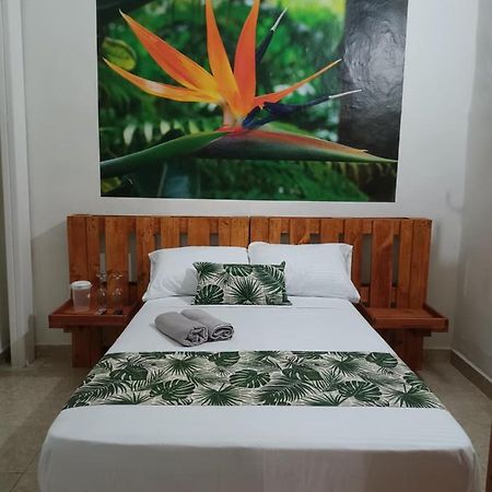 Hospedajes El Jardin Envigado Luaran gambar