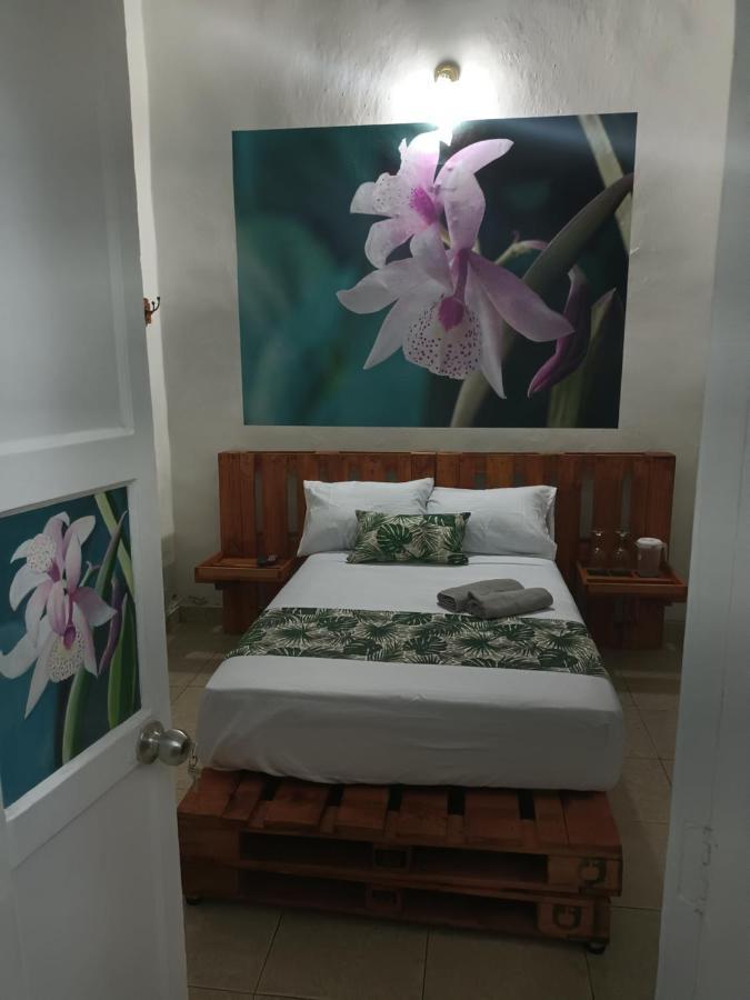 Hospedajes El Jardin Envigado Luaran gambar